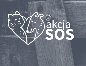 SOS: Universities for animal shelters