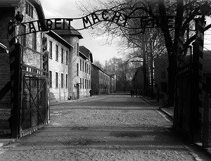 Medical Review – Auschwitz: Medicine Behind the Barbed Wire